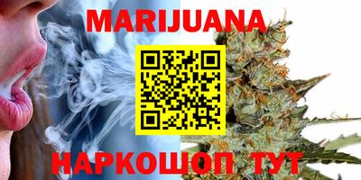 индика Новозыбков
