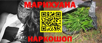 индика Новозыбков