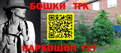 индика Новозыбков